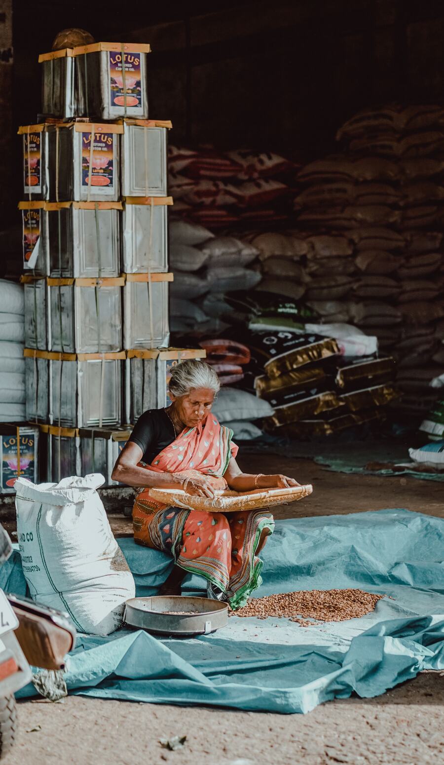 Woman winnowing grain